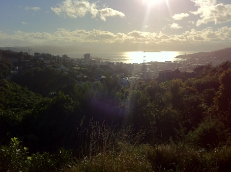 The rewarding view from Polhill Reserve. 